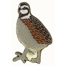 Quail, Northern Bobwhite Quail, Northern Bobwhite