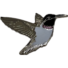 Hummingbird, Black-chinned Hummingbird, Black-chinned