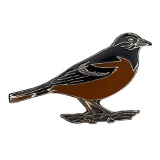 Oriole, Baltimore Oriole, Baltimore