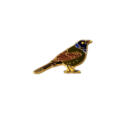 Grackle, Common, enameled pin