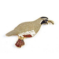 Quail, California Quail, California