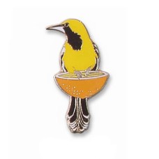 Oriole, Hooded (on an orange) pin Oriole, Hooded (on an orange) pin
