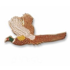 Pheasant, Ring-necked
