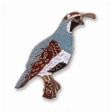 Quail, Gambel's Quail, Gambel's